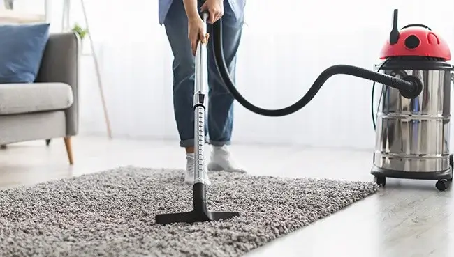 RugCareThumb Area Rugs Care | Total Floors